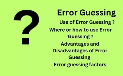 Testing Techniques : Error Guessing.